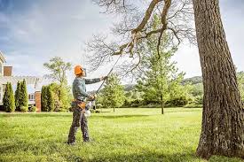 Best Hazardous Tree Removal  in Glouster, OH